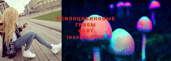 альфа пвп Заволжск