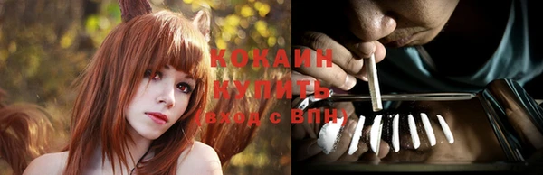 альфа пвп Заволжск