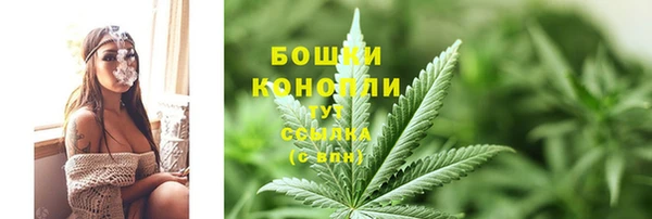 молекула духа Ростов