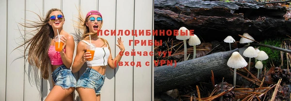 альфа пвп Заволжск