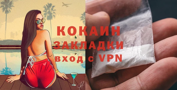 PSILOCYBIN Заводоуковск