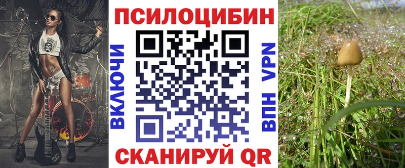 Купить где  Железноводск  Псилоцибиновые грибы GOLDEN TEACHER 